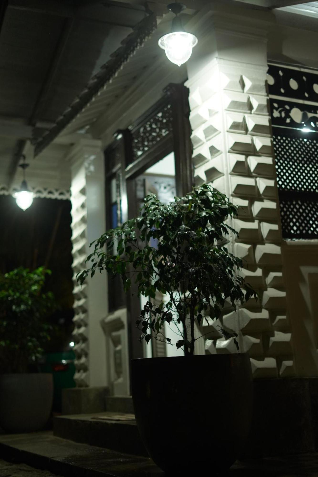 Medusa Bungalow - Галле Экстерьер фото